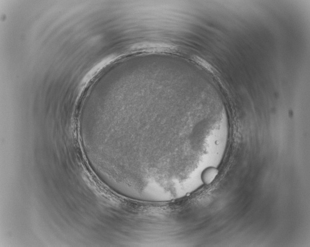 X0000056331074200509092322