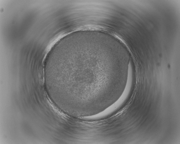 X0000056331075200509092322