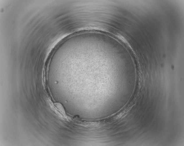 X0000056331076200509092322