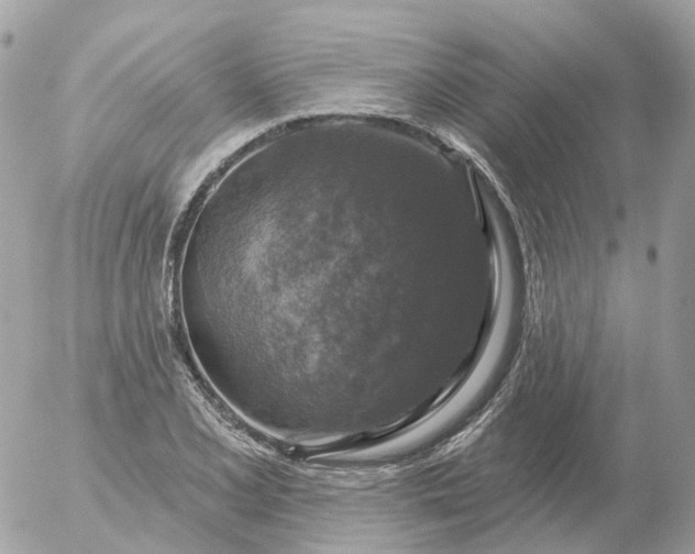 X0000056331077200509092322