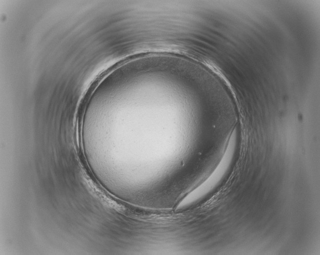 X0000056331080200509092322