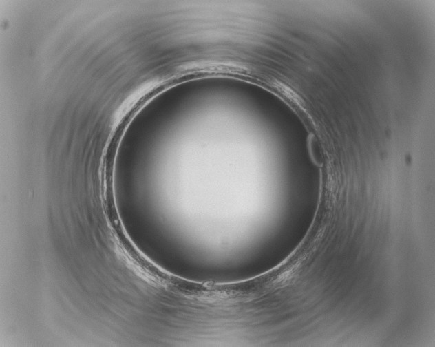 X0000056331082200509092322