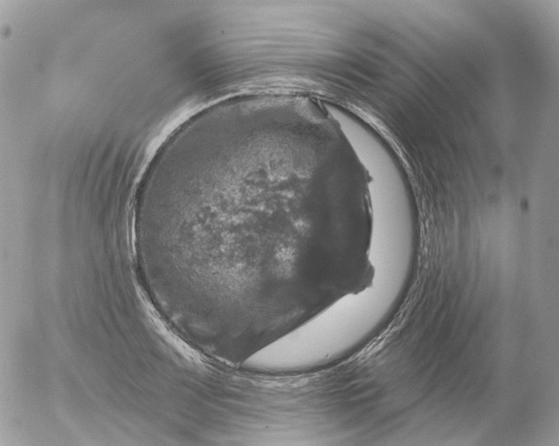 X0000056331083200509092322