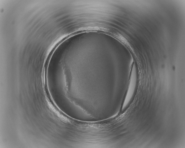 X0000056331084200509092322