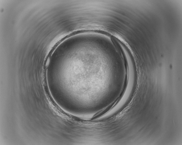 X0000056331085200509092322