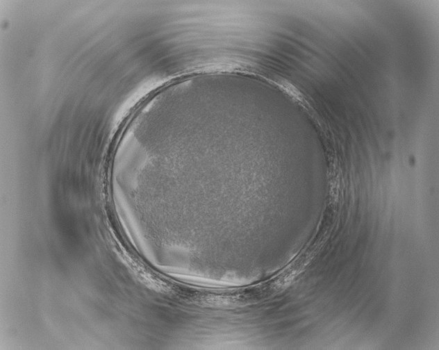 X0000056331086200509092322