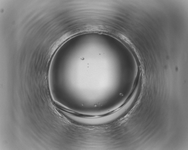 X0000056331089200509092322