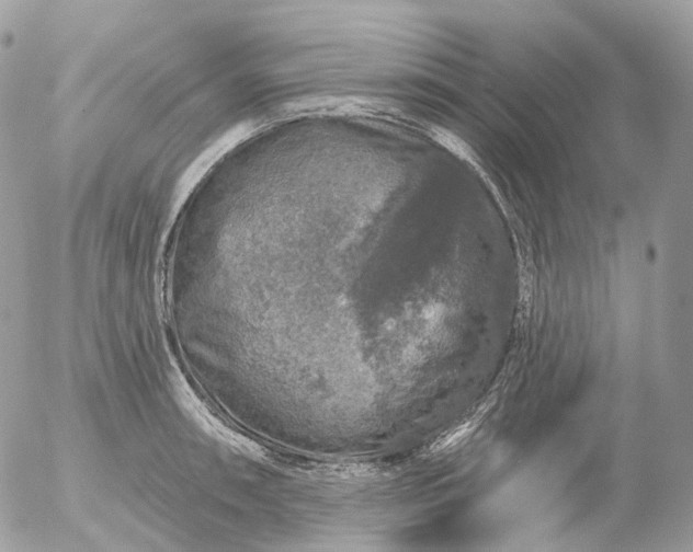 X0000056331090200509092322