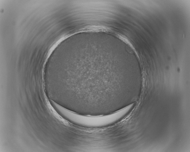 X0000056331091200509092322