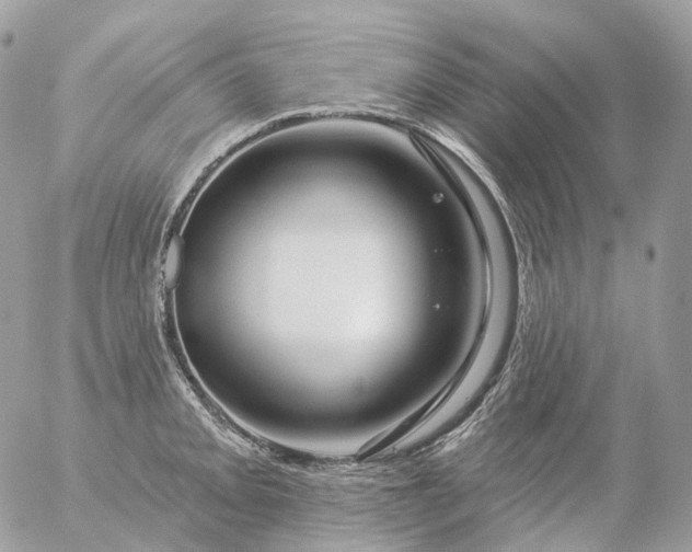 X0000056331093200509092322