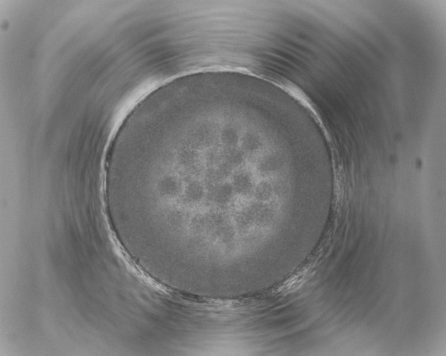 X0000056331096200509092322