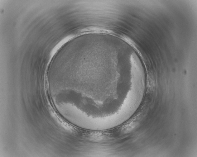 X0000056331098200509092322