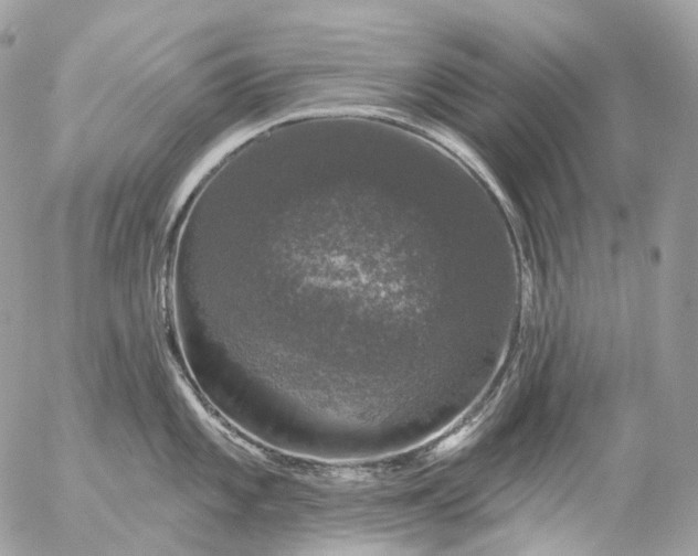 X0000056331101200509092322