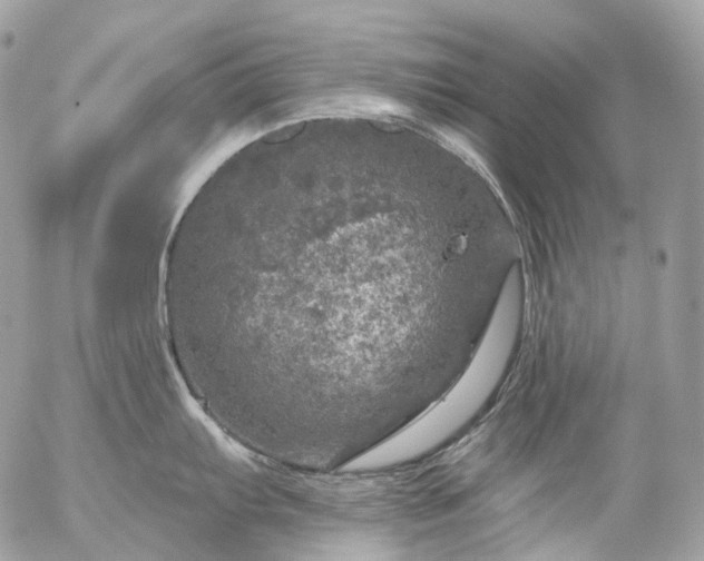 X0000056331103200509092322