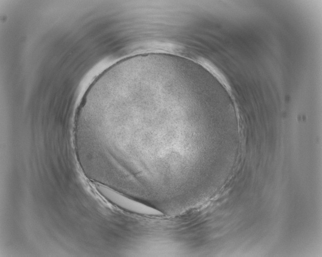 X0000056331104200509092322