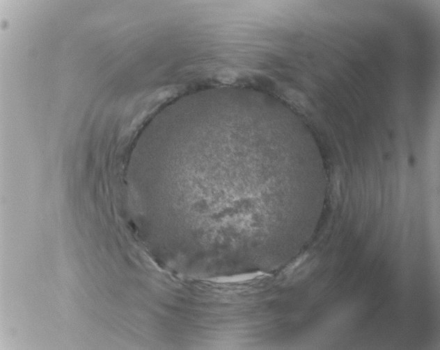 X0000056331105200509092321