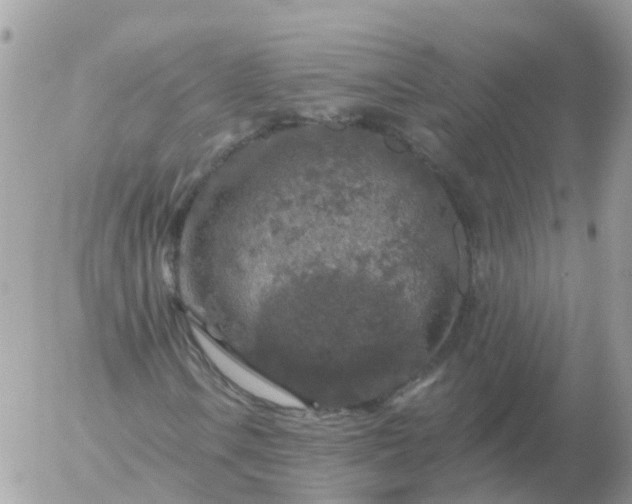 X0000056331106200509092321