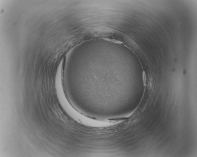 X0000056331108200509092321