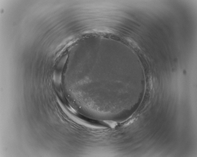 X0000056331110200509092321