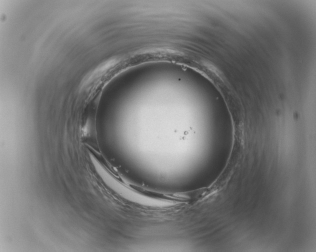 X0000056331111200509092321