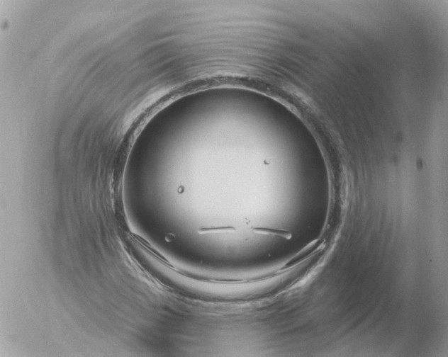 X0000056331113200509092321