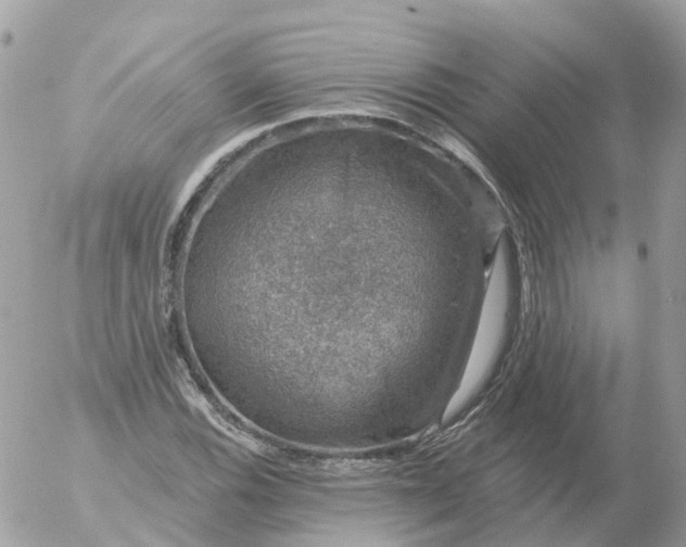 X0000056331116200509092321