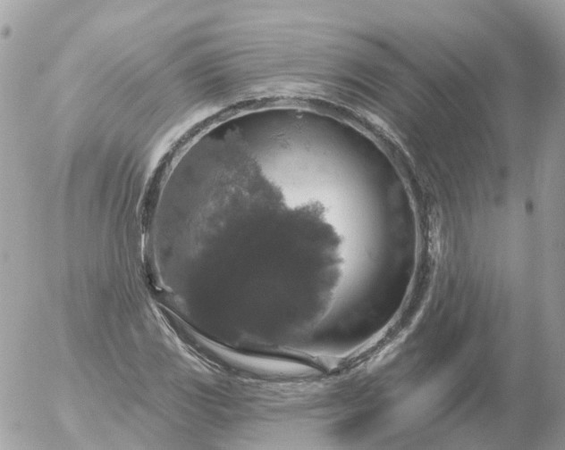 X0000056331117200509092321