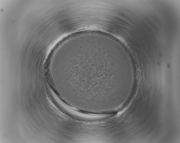 X0000056331118200509092321