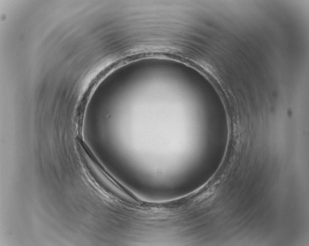 X0000056331119200509092321