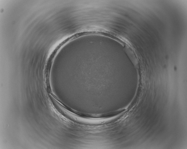 X0000056331120200509092321