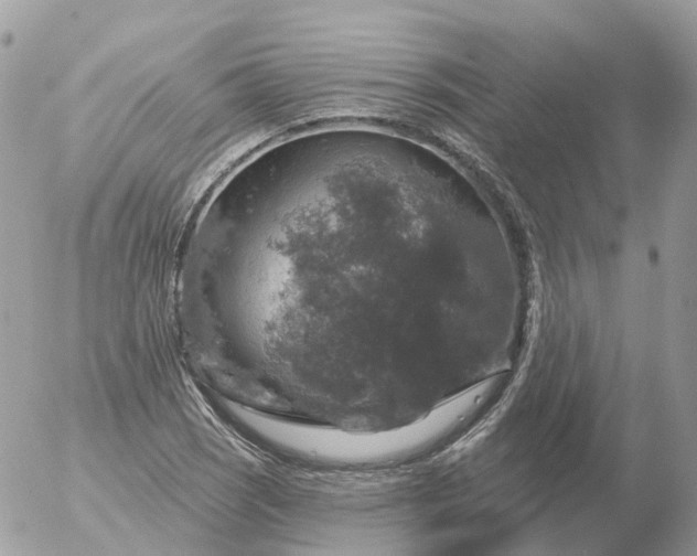 X0000056331121200509092321