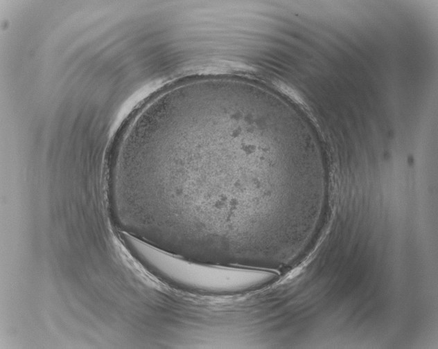 X0000056331122200509092321