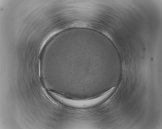 X0000056331123200509092321