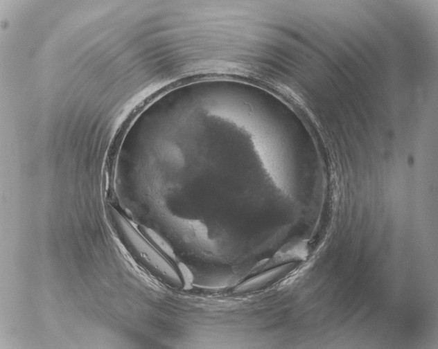 X0000056331125200509092321