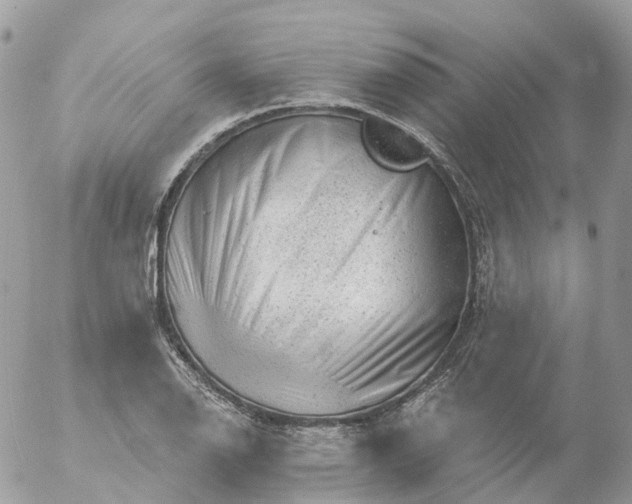 X0000056331126200509092321