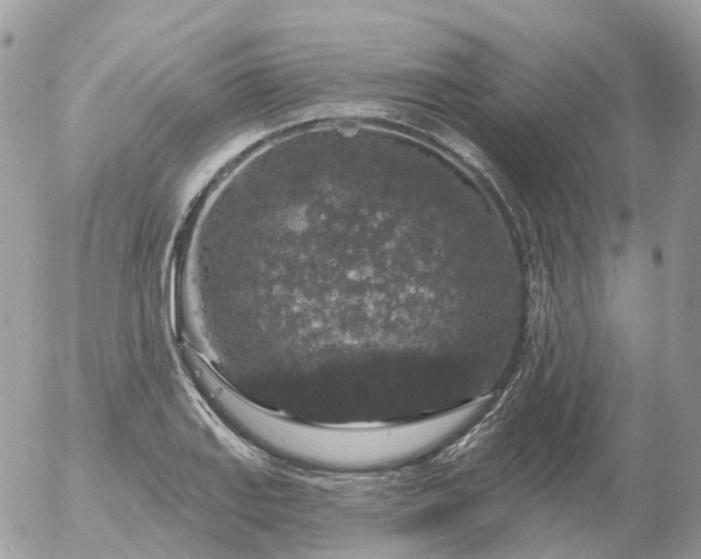 X0000056331127200509092321