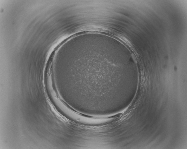 X0000056331128200509092321