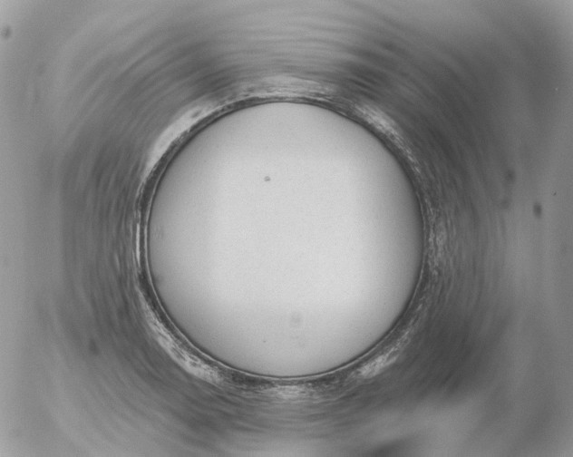 X0000056331130200509092321