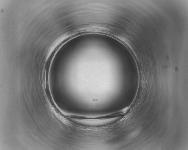 X0000056331131200509092321