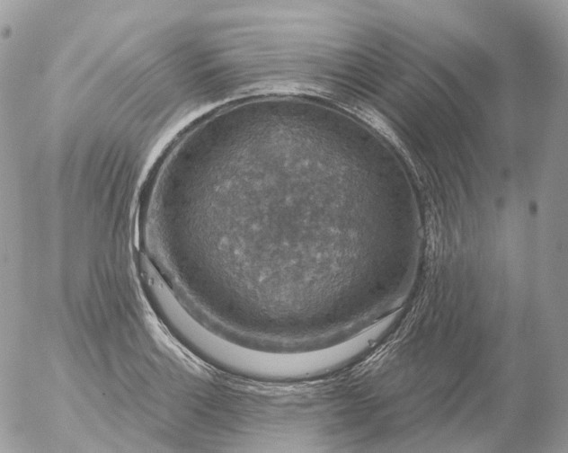 X0000056331132200509092321