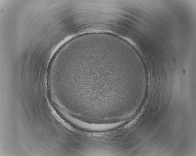 X0000056331134200509092321