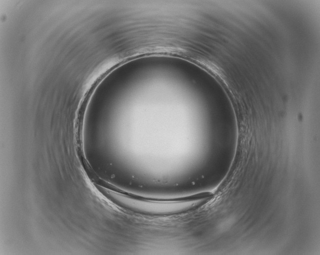 X0000056331135200509092321