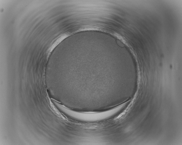 X0000056331137200509092322