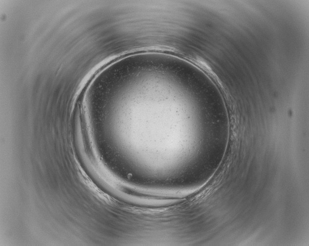 X0000056331140200509092322