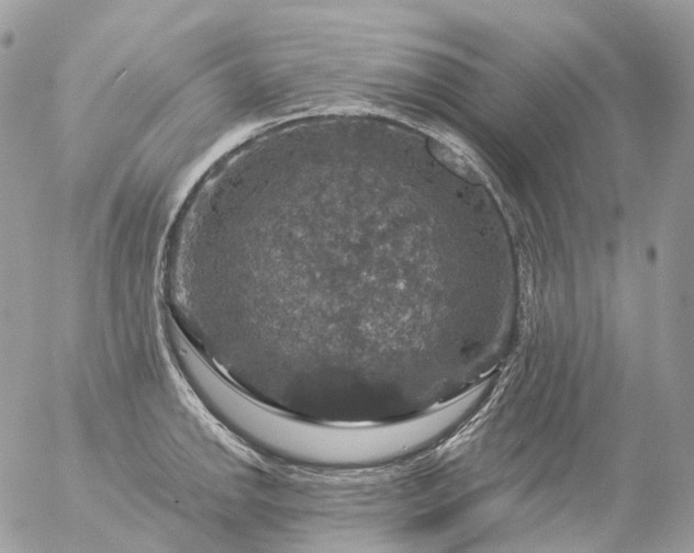 X0000056331142200509092322