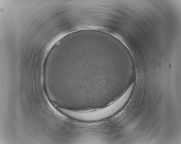 X0000056331143200509092322