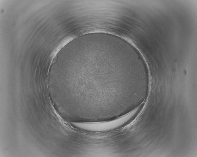 X0000056331145200509092322