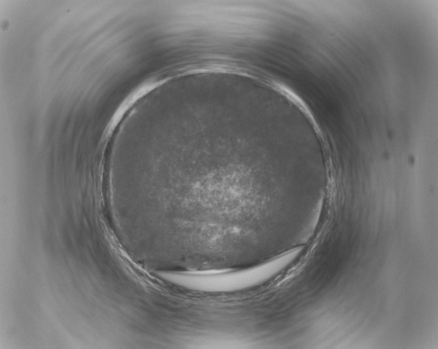 X0000056331146200509092322