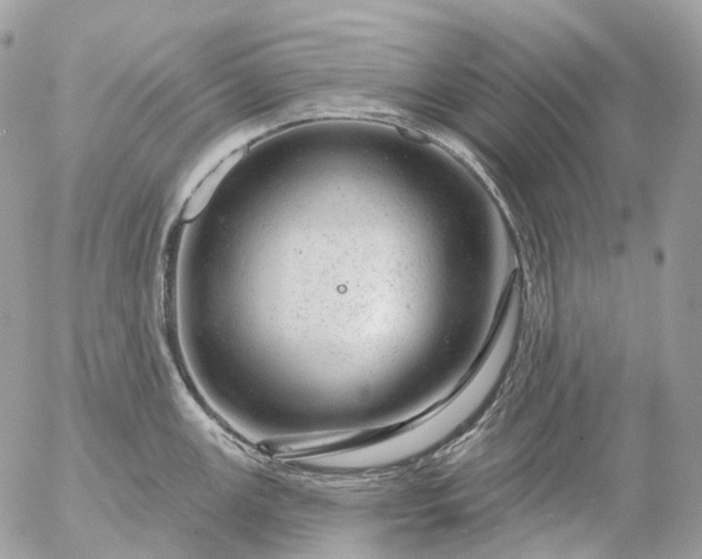 X0000056331147200509092322