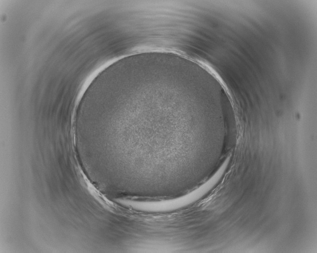 X0000056331148200509092322